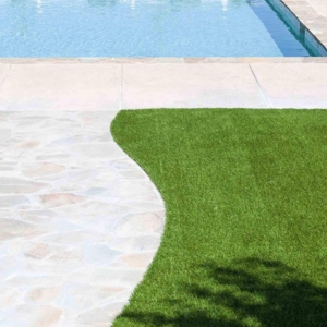 Photo of Turbo Turf