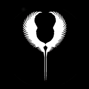 Ridgeland Valkyrie Technologies
