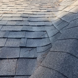 Irmo Sani-Green Cleaning