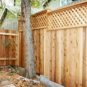 Photo of Barrier Fence Systems