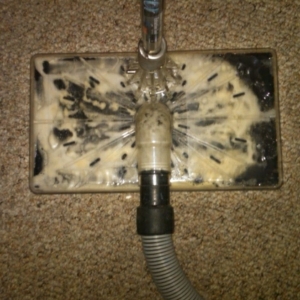 Photo of KC Carpet cleaner
