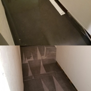 Photo of KC Carpet cleaner