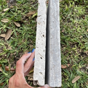 Photo of Miami Travertine