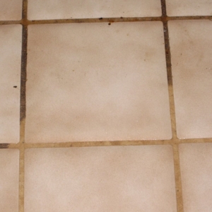 Photo of NF Carpet Care