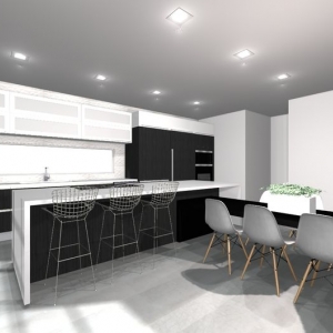 Denver Perspective Design Build