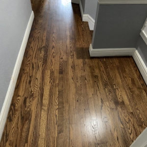 Photo of Functional Floors