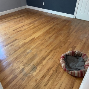 Photo of Functional Floors