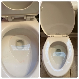 Olive Branch Lemony Cleaning