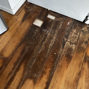 Photo of Atlas Real Estate
