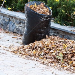Photo of MRO Landscaping