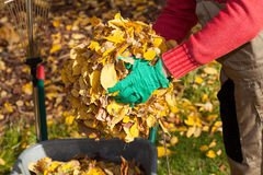 Photo of MRO Landscaping