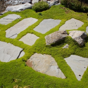 Photo of Pebble Creek Design