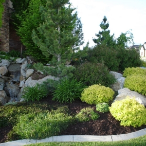 Photo of Pebble Creek Design