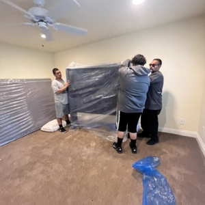 Photo of Moving Bears
