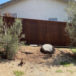 Photo of Solutions Fence