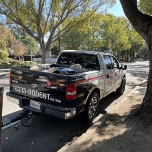 Photo of Rodent Control