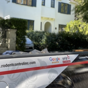 Photo of Rodent Control
