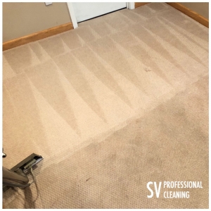 Photo of SV Professional Cleaning