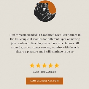 Photo of The Lazy Bear