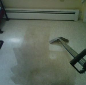 Photo of Amerigreen Carpet Cleaning