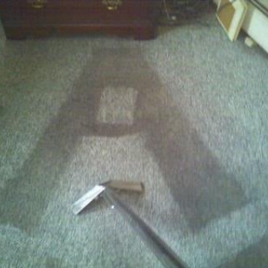 Photo of Amerigreen Carpet Cleaning