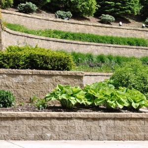 Photo of Retaining Walls of Birmingham