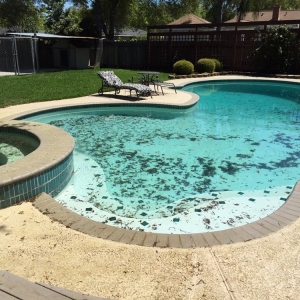 Photo of Metroplex Pool Cleaners