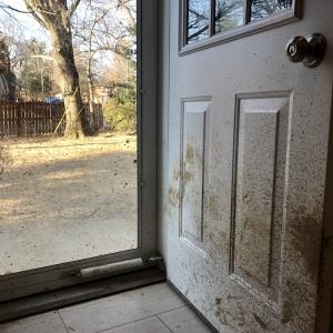 Photo of Etter Cleaning Service