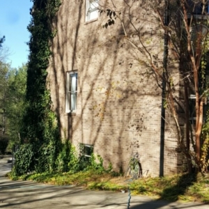 Photo of Clear Spouts