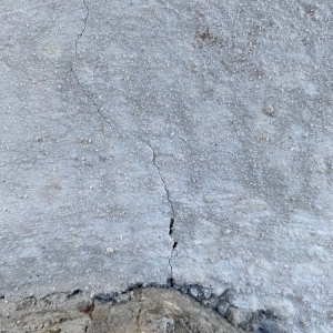 Photo of Maui Fish Hook Concrete & Landcaping