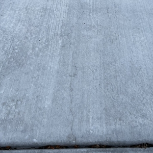 Photo of Maui Fish Hook Concrete & Landcaping