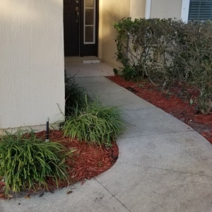 Photo of Dennys Pressure Washing