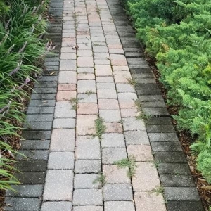 Photo of Dennys Pressure Washing