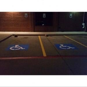 Photo of Bear Striping Services