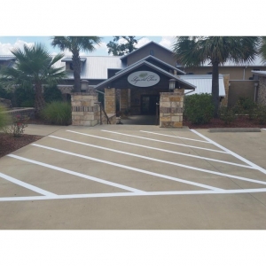 Photo of Bear Striping Services