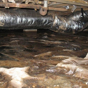 Photo of Hendersonville Foundation Repair