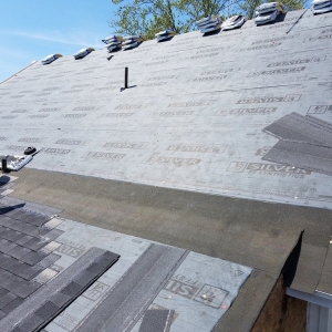 Photo of Shield Exterior