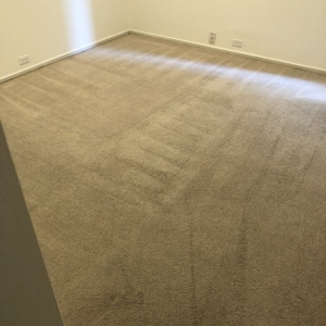San Francisco City Cleaners