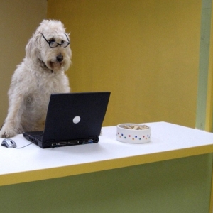 Photo of PC Doodle