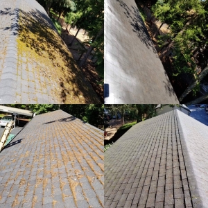 Federal Way Polen Property Services