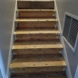Photo of Ãscar Hardwood Flooring