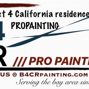 Photo of B4CR Pro Painting