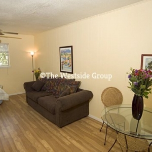 Photo of Monticello Studios Hyde Park