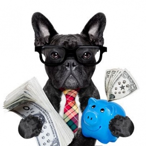 Photo of Loans for Less