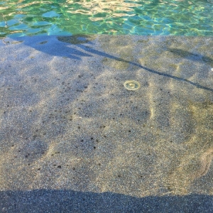 San Antonio Sunray Pool Service