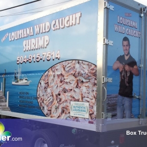 Photo of Creative Sign and Banner