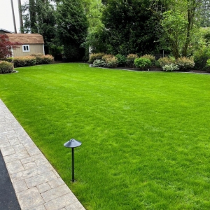 Seattle Clean Air Lawn Care