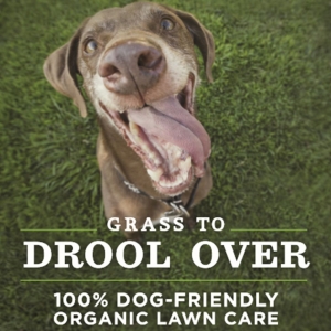 Photo of Clean Air Lawn Care