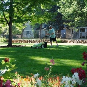 Photo of Clean Air Lawn Care