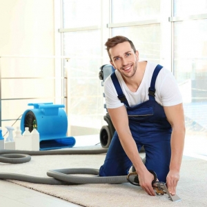 Waldorf Carpet Cleaner Pro of Waldorf